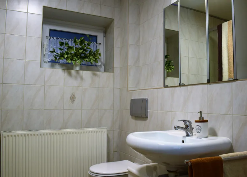 Ferienwohnungen am Jakobsweg - Badezimmer mit Dusche