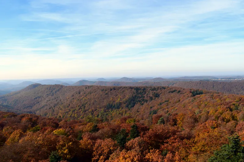 Südwestpfalz - Region Pfälzer Wald